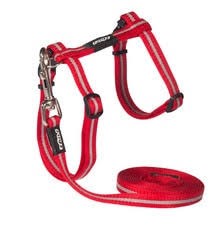 Alleycat 11mm Harness & Lead Red