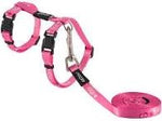 Kiddycat 11mm Harness Pink Hearts