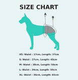 Loving Pets Washable Nappy Xlarge Asstd Colors
