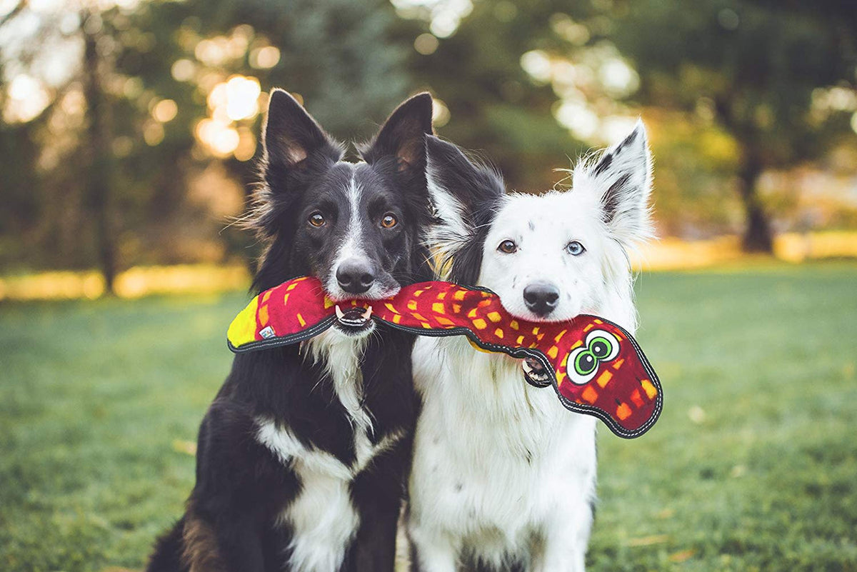 Outward Hound Tough Seamz Snake Red Xl 6 Squeak