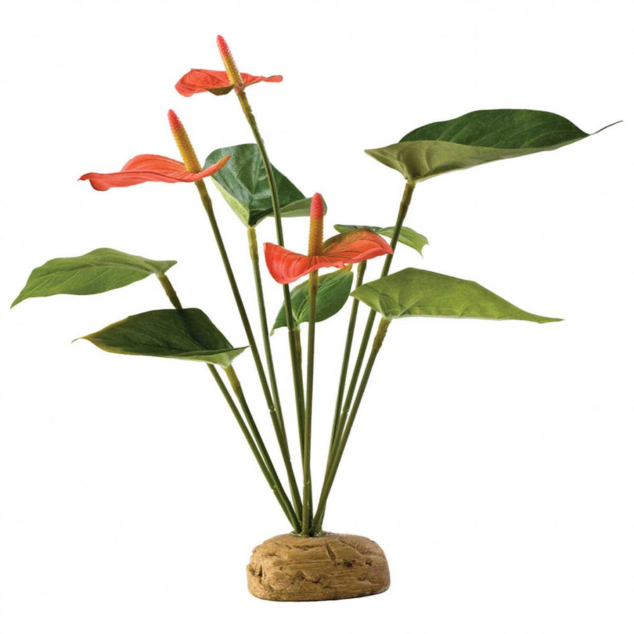 Komodo Terrarium Decoration Anthurium Bush 29cm