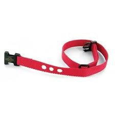 Petsafe Strap 3/4" Red Nylon 3 Holes & Plastic Clip