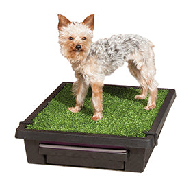 Petsafe The Pet Loo Large