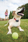 Petsafe Inground Fencing System Basic