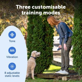 Petsafe Basic Dog Trainer W Remote 