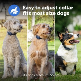 Petsafe Basic Dog Trainer W Remote 