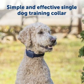 Petsafe Basic Dog Trainer W Remote 
