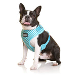 Doog Neoflex Harness Snoopy Large