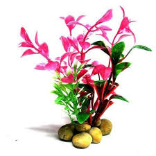 Aquatopia Pink Plant 10cm