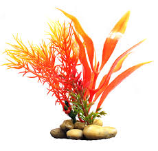 Aquatopia Orange Plant 10cm