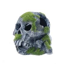 Aquatopia Skull W Moss