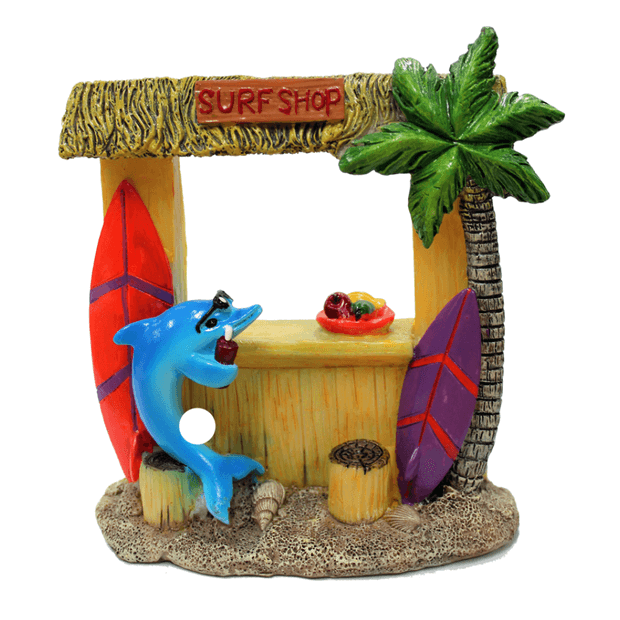 Aquatopia Hermit Surf Shop