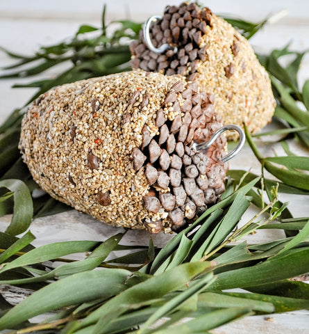 Forage Pine Cone Treat Small Bird Large