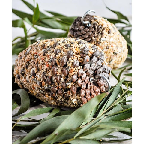 Forage Pine Cone Treat Parrot Small