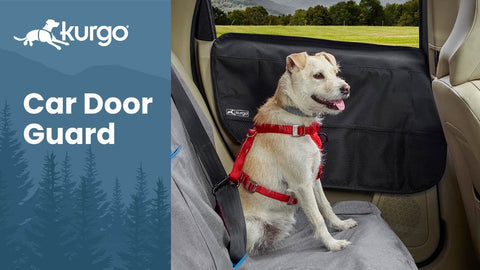Kurgo Door Guard 