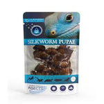 Super Fresh Silkworm Pupae 15g