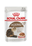 Royal Canin Ageing +12 In Gravy 85g