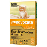 Advocate Cat Up To 4kg Orange 6's