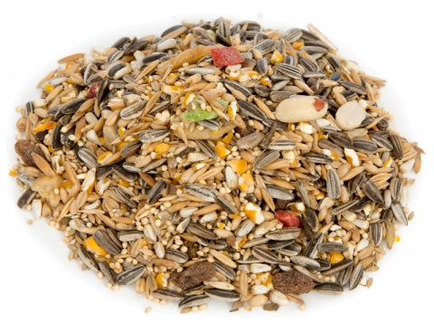 Parrot Fruit & Nut Seed 1.5kg 