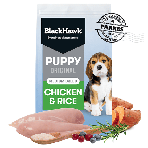 Black Hawk Puppy Chicken & Rice Large Breed 20kg*