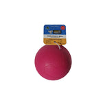 Aussie Pet Sports Food Ball 13.5cm Asstd Colors