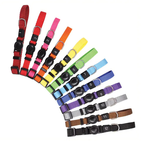 Breakaway Puppy/kitten Id Collars 12pk Asstd Colours Med (23-31cm) [sz:one Size Cl:hey There Sweetie]