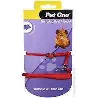 Pet One Guinea Pig Harness & Lead Set Red 