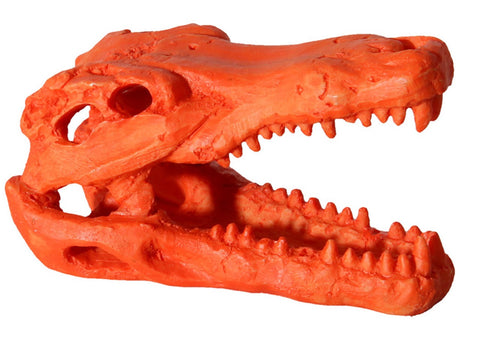 Aqua One Hermit Crab Alligator Skull 7.5x4.5x4.5cm Orange