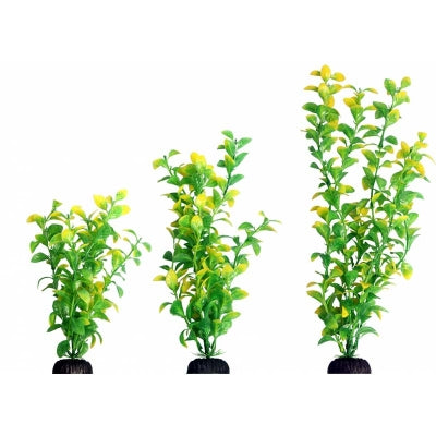 Ecoscape Large Hygro Green