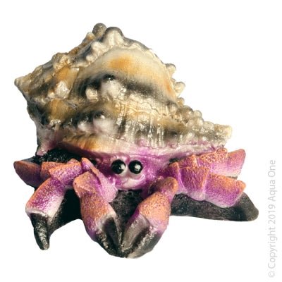 Giant Hermit Crab Purple 12 X 13 X 7.5cm