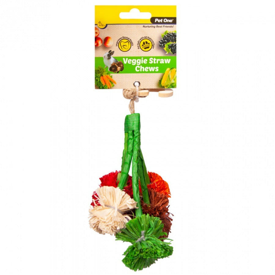 Pet One Veggie Chew Broccoli 14cm
