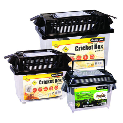 Reptile One Cricket Box Medium W Feeder