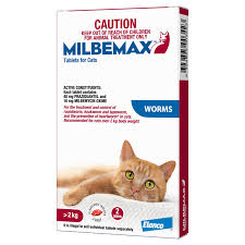 Milbemax Cat >2kg 2 Tabs