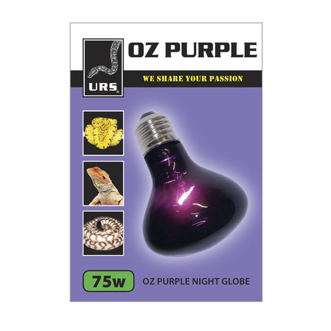 Urs Oz Purple Night Globe 75w