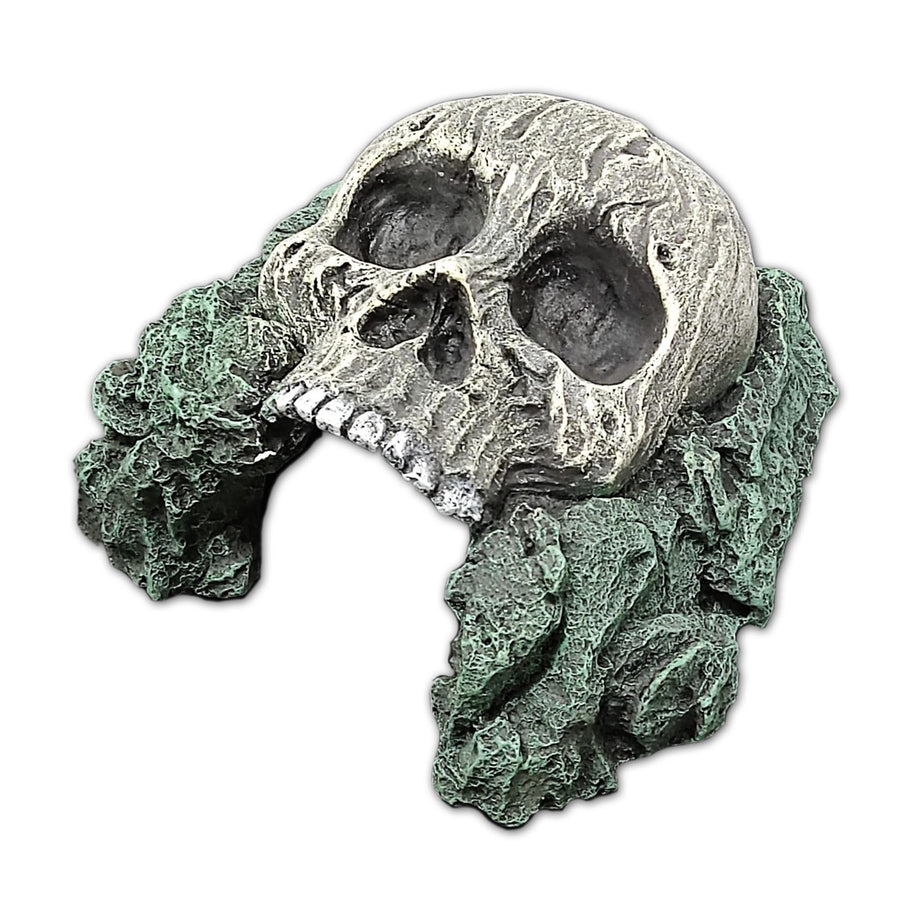 Ipetz Human Skull Hide