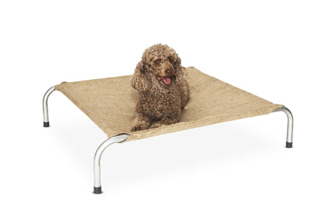Superior Steel Framed Dog Bed Mini