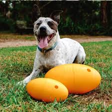 Aussie Dog Footy Feeder Large