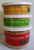 Mealworms - 100g Tub Pisces