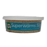Superworms 50g Pisces