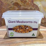Mealworms Giant 25g