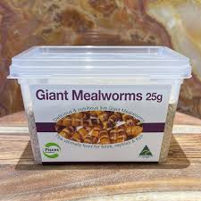 Mealworms Giant 25g