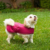 Kazoo Adventure Coat Cherry 53cm Intermediate