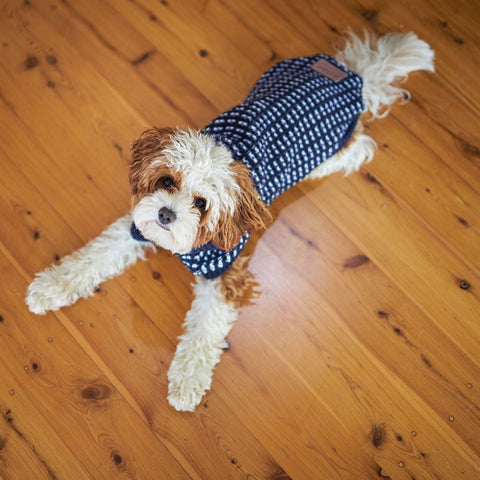 Joey Jumper Cobalt 40cm