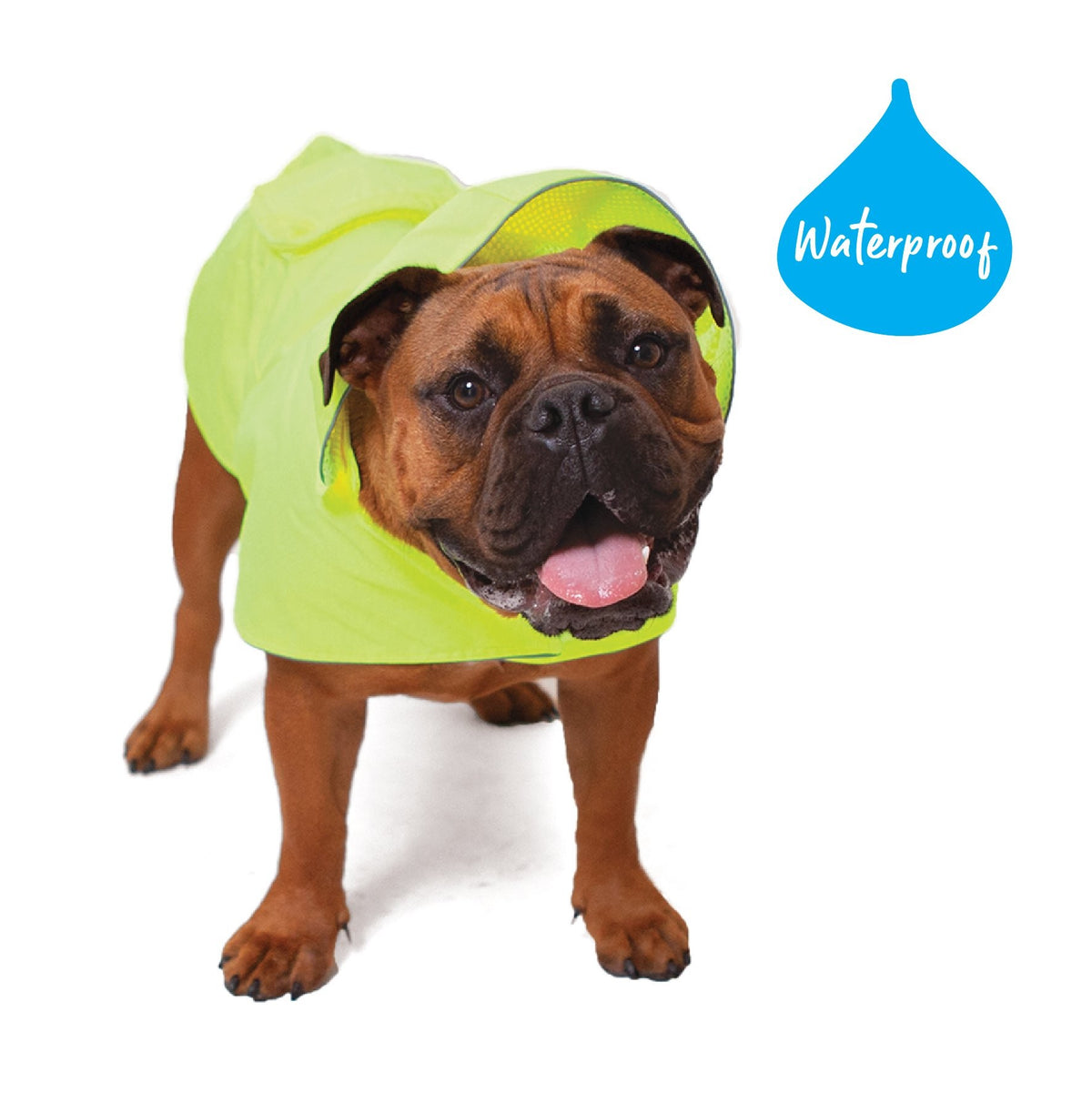 Rainy Days Coat [sz:72cm Cl:yellow St:outdoor]