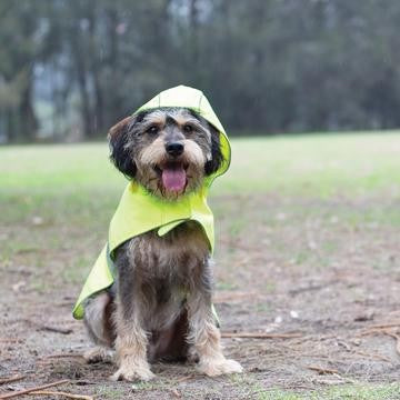 Rainy Days Coat [sz:72cm Cl:yellow St:outdoor]