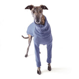 Greyhound Thick Knit Brighton Small