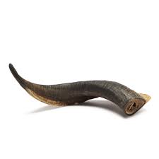 Bark & Beyond Goat Horn Small 10-15cm