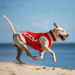 Ezydog Rashie 50+ Uv Xs Red