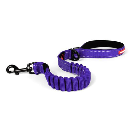 Ezydog Leash Zero Shock 48 Purple