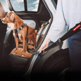 Ezydog Travel Car Click Leash